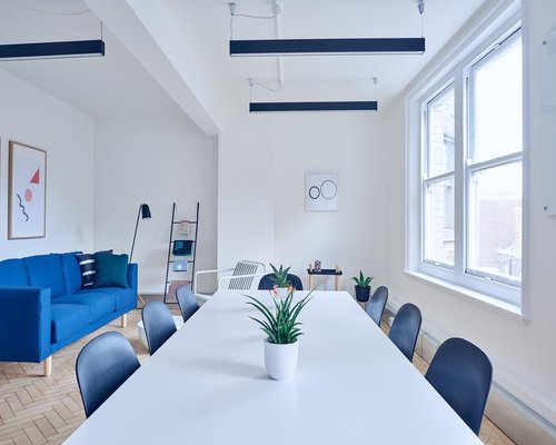 Modern collaborative office space with natural light and plants
